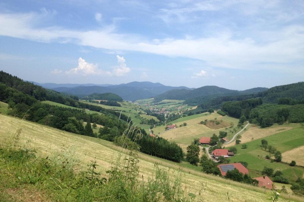 Haus Alle Jahreszeiten Willingen  Luaran gambar